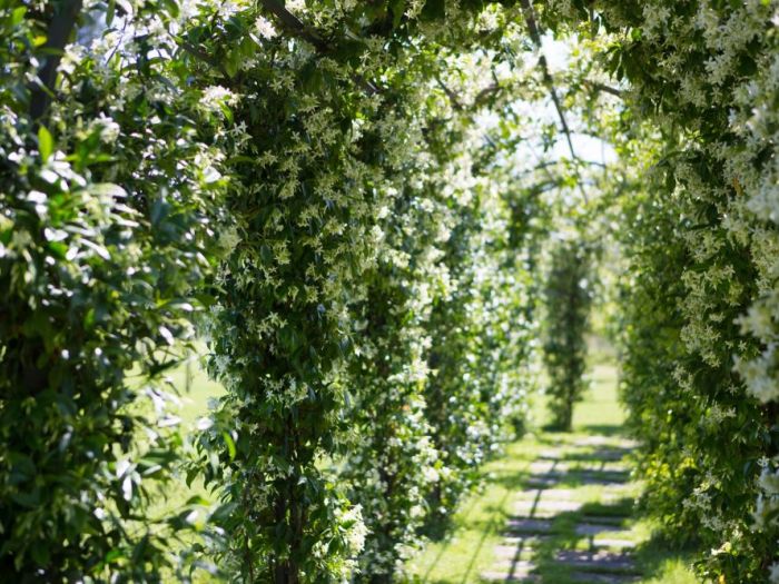 Archisio - Max Lisi Photoarch - Progetto Villa privata