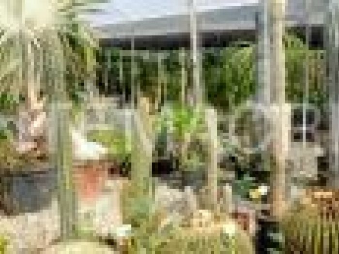 Archisio - Piante Macri - Progetto Serre di produzione