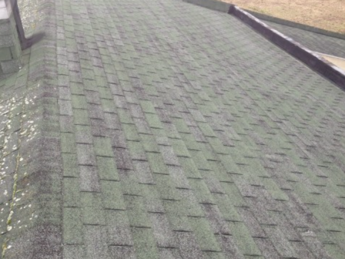 Archisio - Mada Tinteggiature-cartongesso-isolamenti - Progetto Pavimenti laminati-decorazioni speciali-armadi in cartongesso-impermealizzazioni