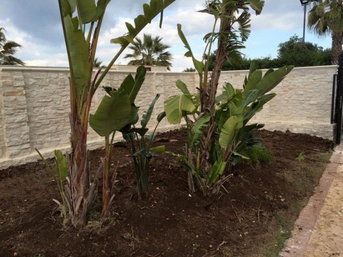 Archisio - Rivoluzione Casa - Progetto Ristrutturazioni dinterni ed esterni