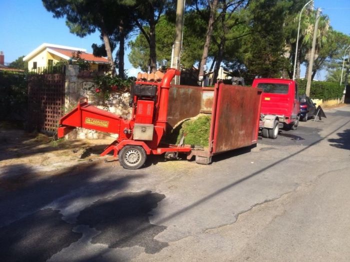 Archisio - Service Garden - Progetto Manutenzione verde
