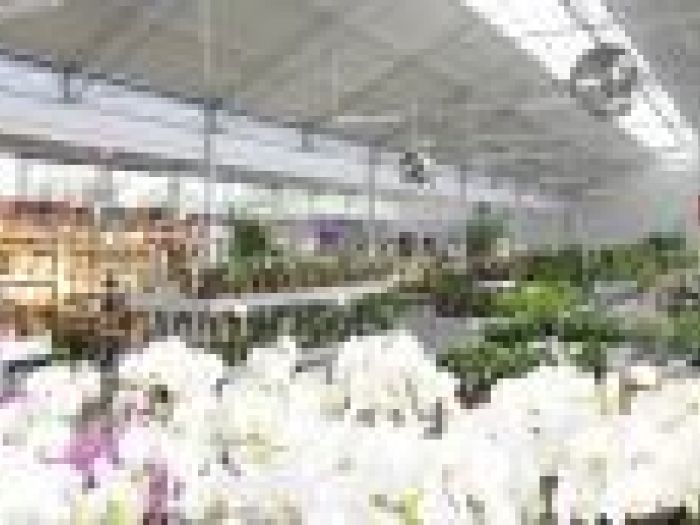 Archisio - Piante Macri - Progetto Il garden