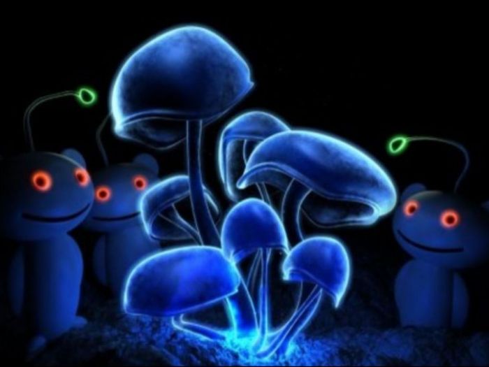 Archisio - Tutto Tetto Di Shein Vitaliy - Progetto Pareti e soffitti per bambini in 3d fluorescenti