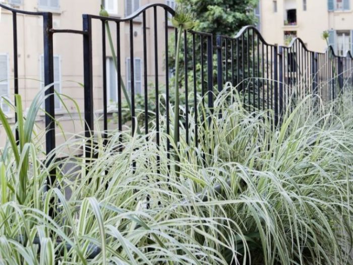 Archisio - Coarch Studio - Progetto Sm22