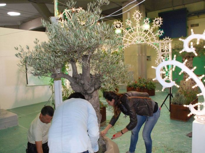 Archisio - Anna Claudia Bufo - Progetto Agrilevante 2017