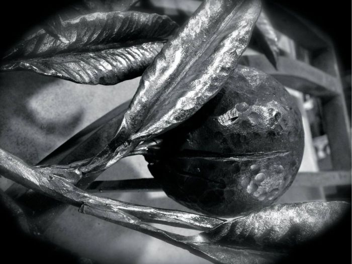 Archisio - Lv Di Locandro Vittorio - Progetto Opere di ferro battuto 1