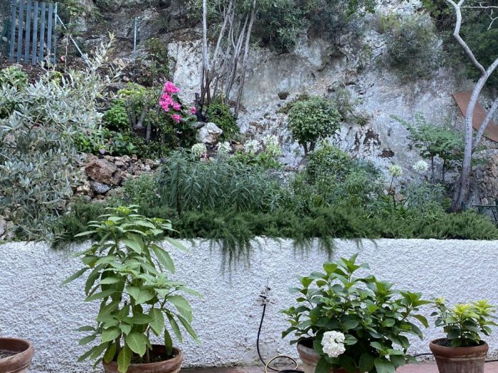 Archisio - Claudia Dibbe Piazza - Progetto Villa bianca