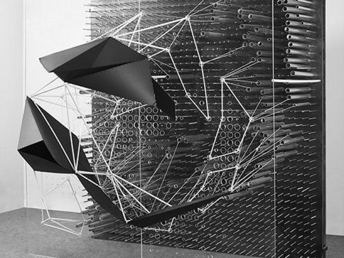 Archisio - Plasma Studio - Progetto Contingent affiliations