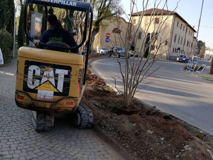 Archisio - Robi Bonaita Alessio Bonaita Fabiano Bonaita - Progetto Le nostre piante