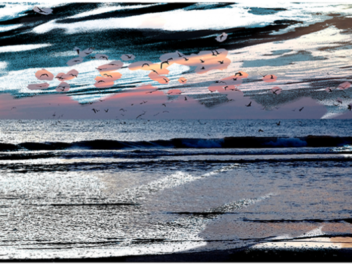 Archisio - Patrizia Savarese - Progetto Fotografia