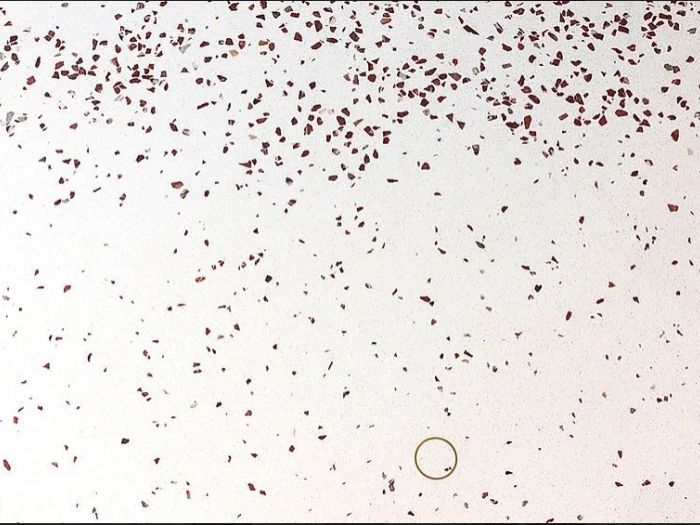 Archisio - Nexus srl - Progetto Terrazza martini a milano