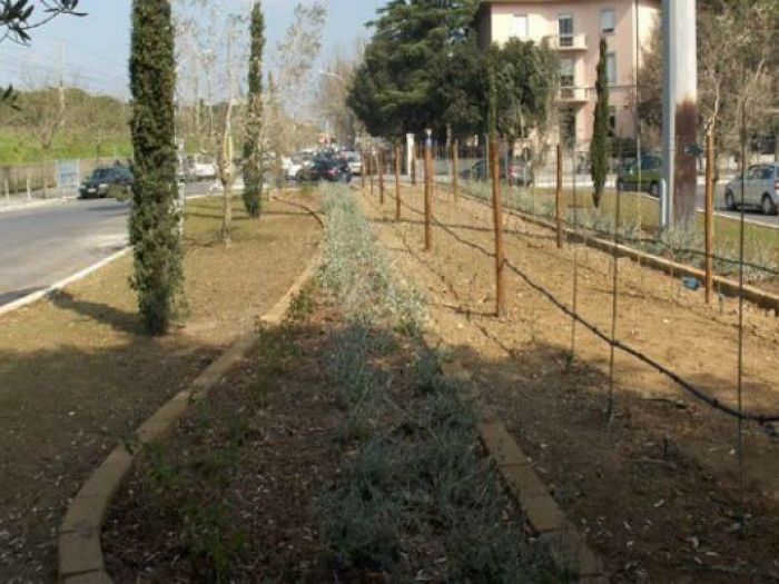 Archisio - Open Space Projects - Progetto Rotatoria pza lamarmora