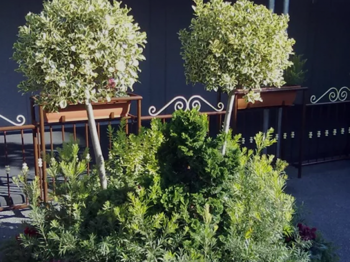 Archisio - Verdein Ss - Progetto Arredamento fiera