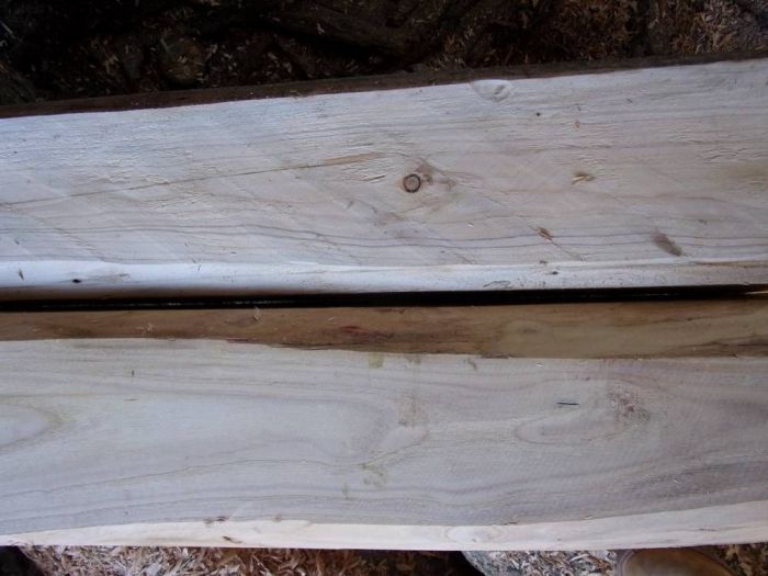 Archisio - Falegnameria Ferruzzi - Progetto Segheria