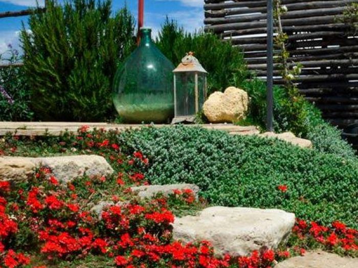 Archisio - Vivaio 983 Piante Mediterranee - Progetto Fiori