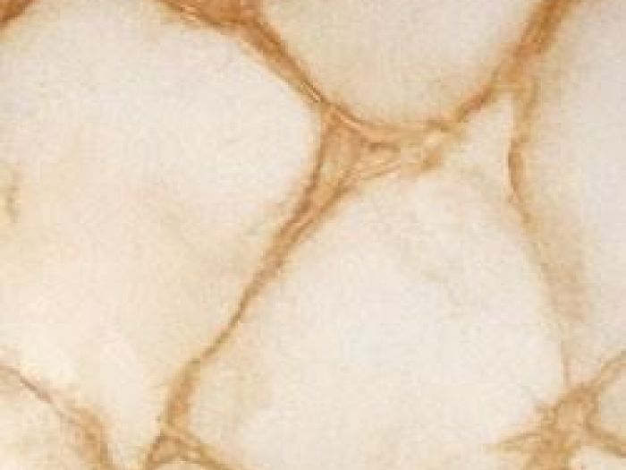 Archisio - Carlo Lo Presti - Progetto Pitture