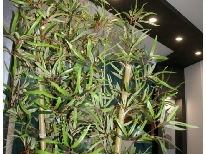 Archisio - Architecture Lab Studio Delling Vincenzo Calvo - Progetto Progetto di design per la ristrutturazione di un edificio storico