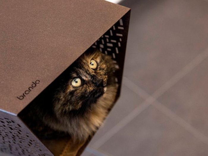 Archisio - Brandodesign - Progetto La cuccia tunnel