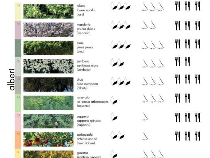 Archisio - Studio Ferretti - Progetto Ufficio postale tergu