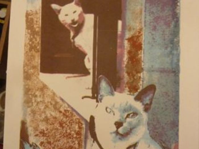 Archisio - Ana Maria Reque Art - Progetto Incisioni-grafica