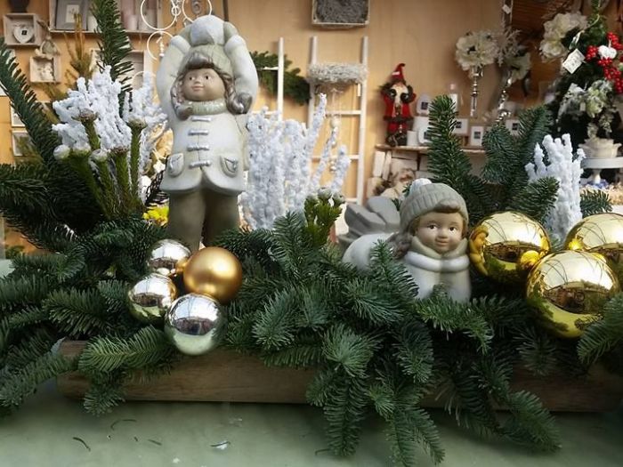 Archisio - Massarroni - Vivai Piante - Garden - Progetto Vivai e piante