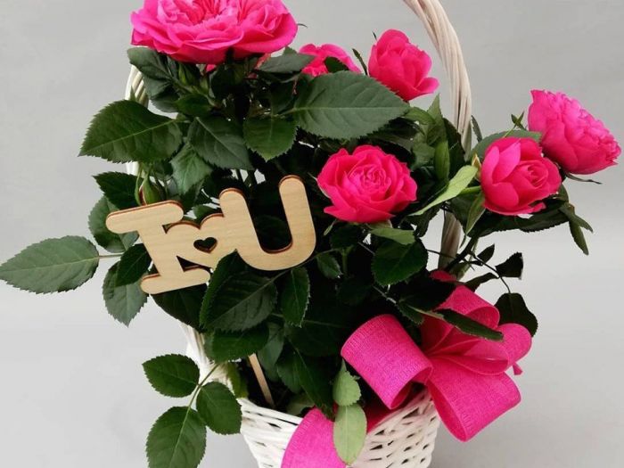 Archisio - Robi Bonaita Alessio Bonaita Fabiano Bonaita - Progetto I fiori di ornella