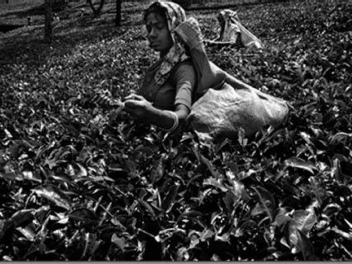 Archisio - Fotografi-dariocoletti - Progetto Foto