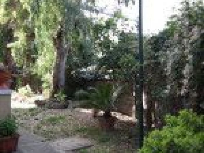 Archisio - Mageris srl - Progetto Pulizie giardini via casilina