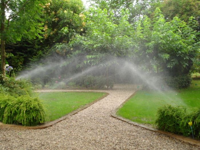 Archisio - Vivai Preti - Progetto Giardino a rami