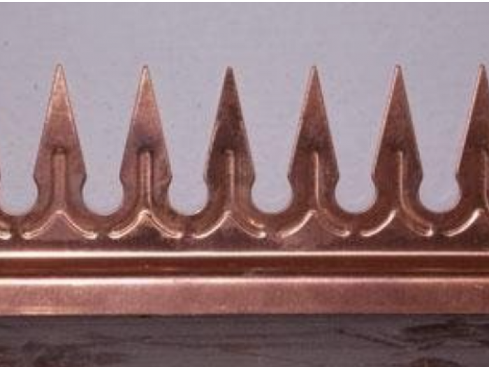 Archisio - Disinfestazioni Sberti Massimo - Progetto Contenimento volatili molesti