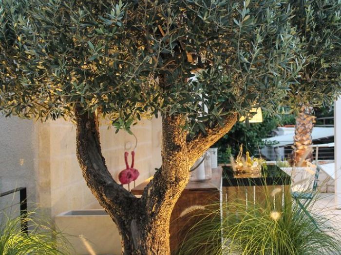 Archisio - Antonio Bellomo Designer - Progetto Area 485