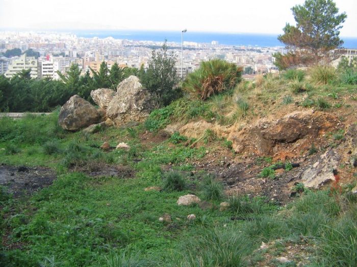 Archisio - Pilati Giuseppe - Progetto Progettazione del verde di una villa signorile ad erice