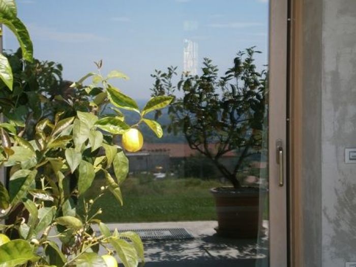 Archisio - Falegnameria Zampieri srl - Progetto Progetti falegnami serramenti