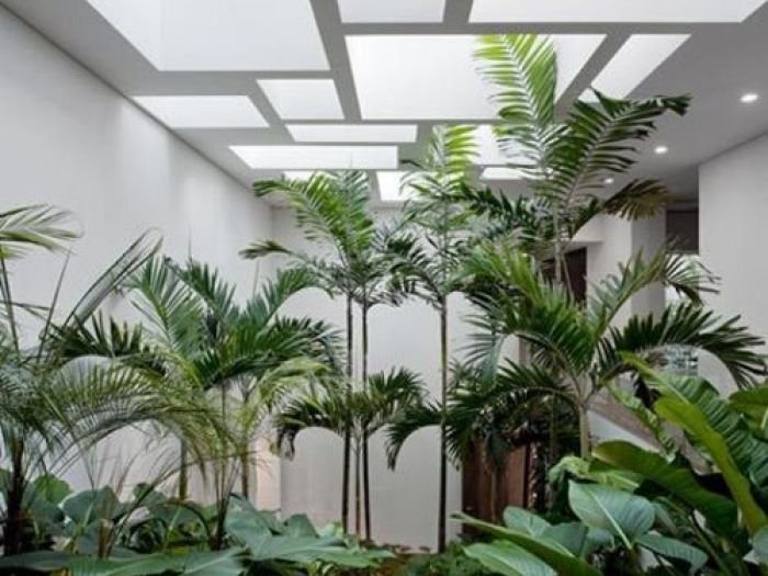 Archisio - Dotto Francesco Consulting Green - Progetto Crea ambiente salubre interno