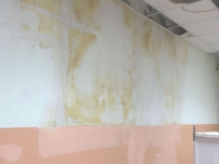 Archisio - Gimmirestauri - Progetto Pitture interne