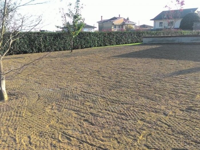 Archisio - Claudio Raiteri Verde Giardino - Progetto Irrigazione rigenerazione pratorigenerazione pratotree climbingisolamento solai