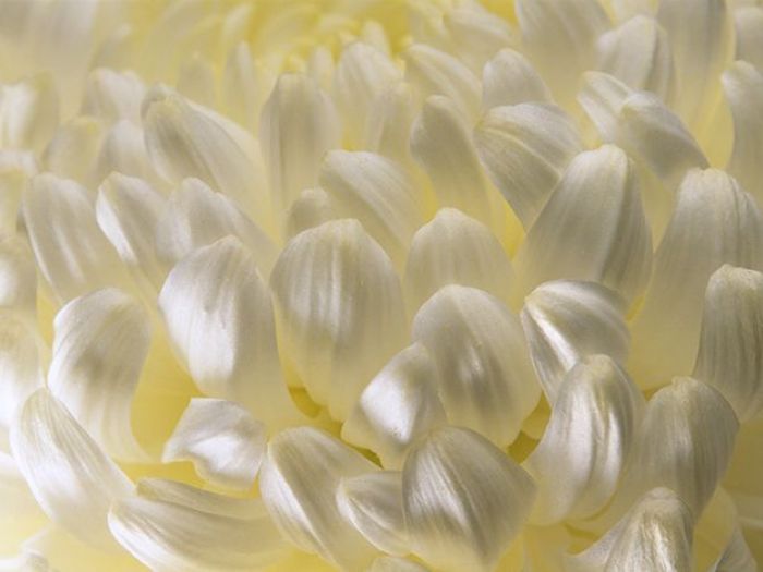 Archisio - Enrico Cano Fotografo - Progetto Emotion