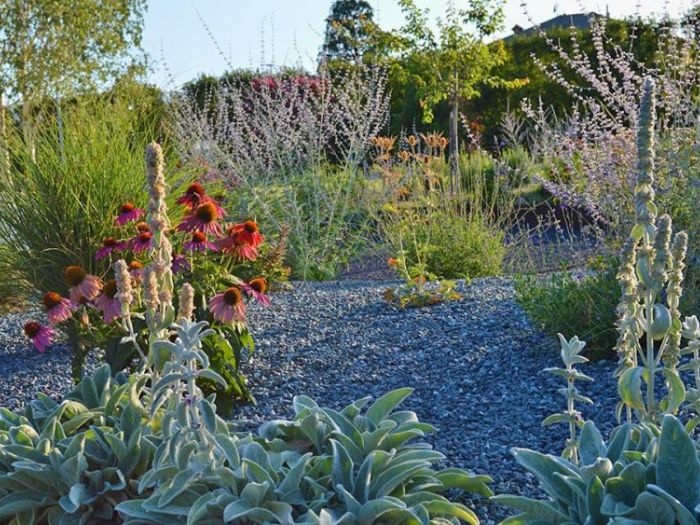 Archisio - Rizzi Giardini - Progetto Parco con perenni