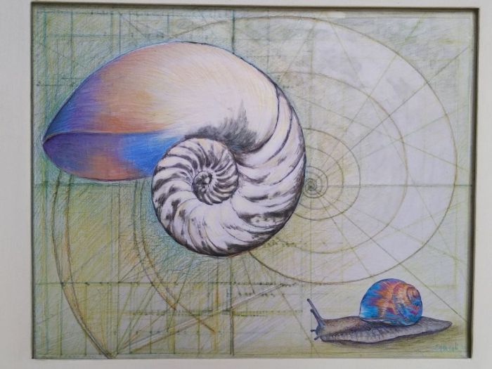 Archisio - Emilio Alberti - Progetto Nautilus ii