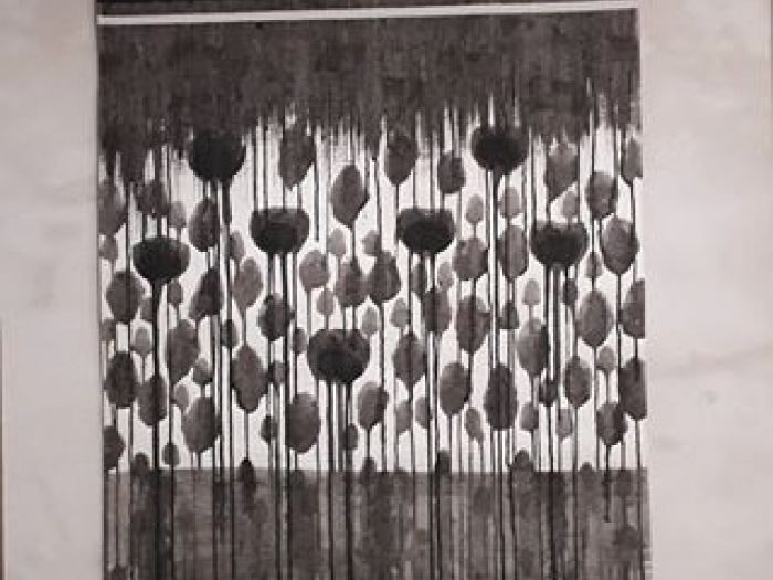 Archisio - Giovanna Somai - Progetto Nero dripping