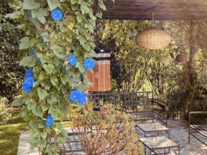 Archisio - Claudia Dibbe Piazza - Progetto Allinsegna di piet oudolf