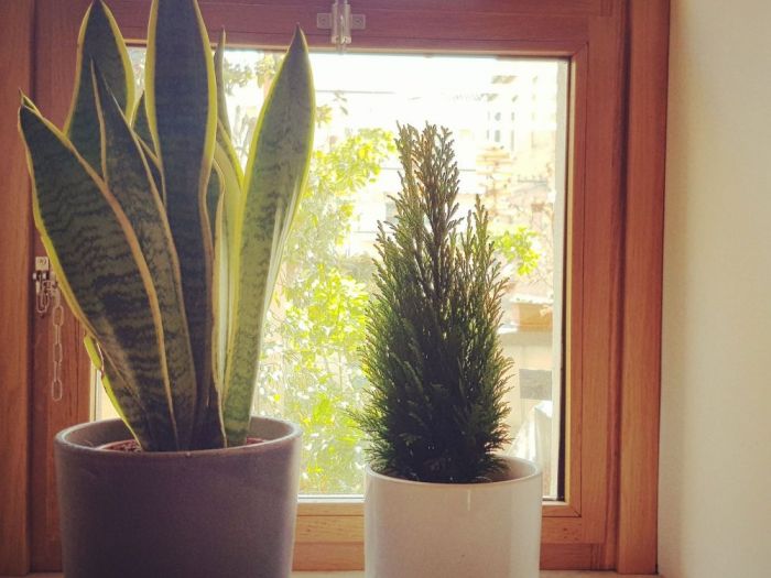 Archisio - Studio Ics - Progetto Casa privata