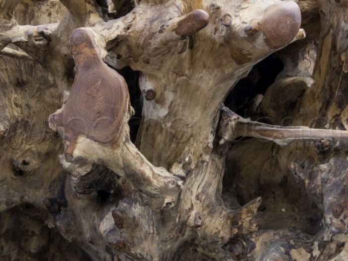 Archisio - Bambu Design - Progetto Tavoli basi tavolo sedie poltroncine