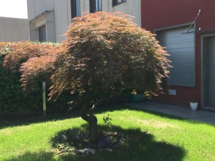 Archisio - Edilnica - Progetto Costruzioni civili