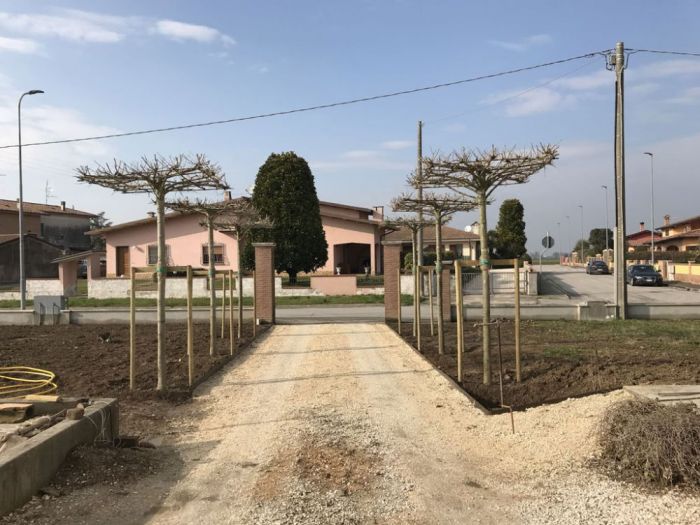 Archisio - Lucia Panzetta - Progetto Giardino in campagna