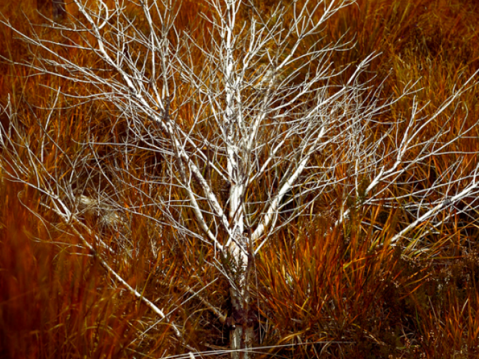 Archisio - Roberto Mango - Progetto Fotografie viaggi
