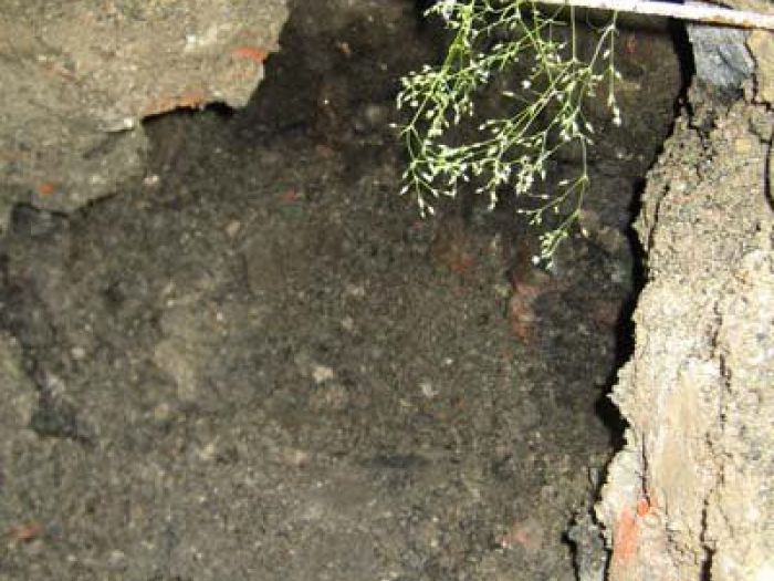 Archisio - Rombi Efisio - Progetto Demolizioni civili e industriali