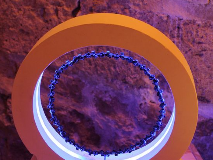 Archisio - La Pietra Di Luca - Progetto Le meduse prese aria applique coralli coppie di applique sculture luminose da muro sculture luminose