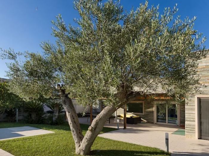 Archisio - Studio Bugna - Progetto Villa d Torre a mare bari