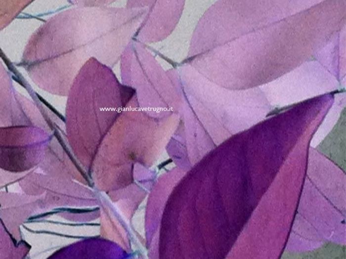 Archisio - Gianluca Vetrugno Meltem Kosan the Art Of The Negative - Artisti - Progetto Galleria 1 fotografie astratte